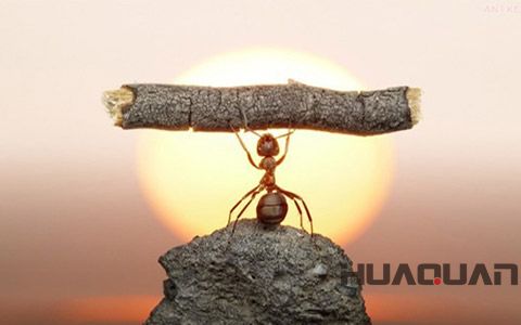 華全動力品牌故事之企業(yè)精神解讀（四） 全力以赴