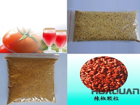 奔走在沙海、雪山的邊緣