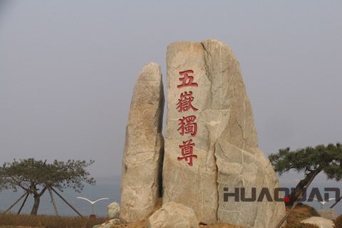 春晚花落泰山？華全機組關(guān)注之余還做了這事兒